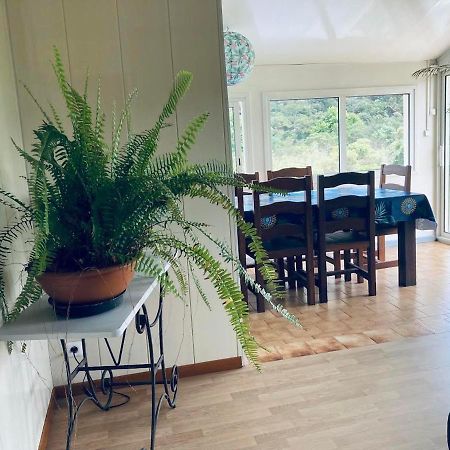 Maison A Bourg- Murat Proche De La Cite Du Volcan La Plaine des Cafres Eksteriør bilde